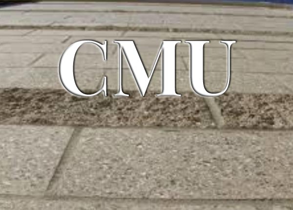 cmu-lr